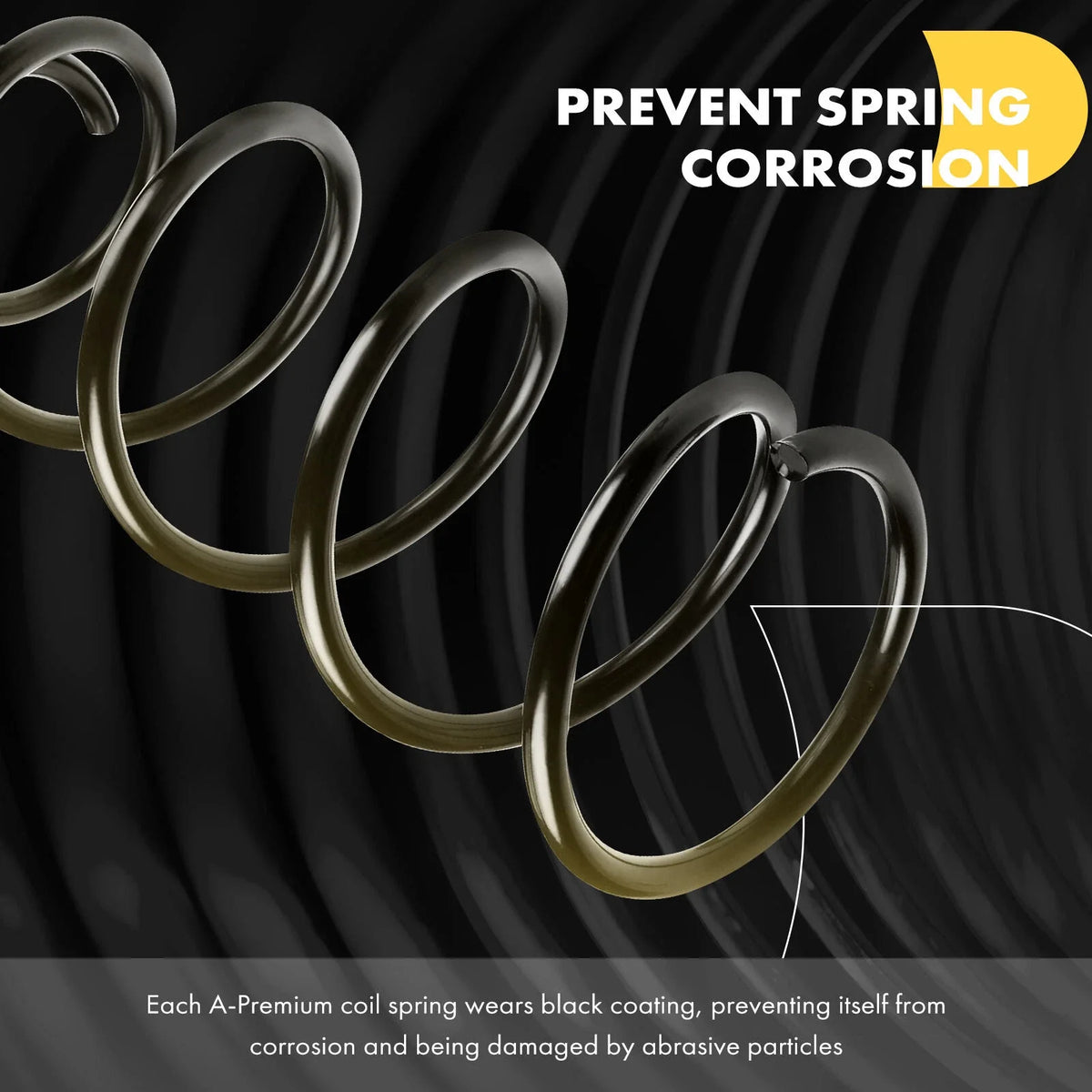 Coil Springs Front Side for Ford Edge (2012-2014) - Pair