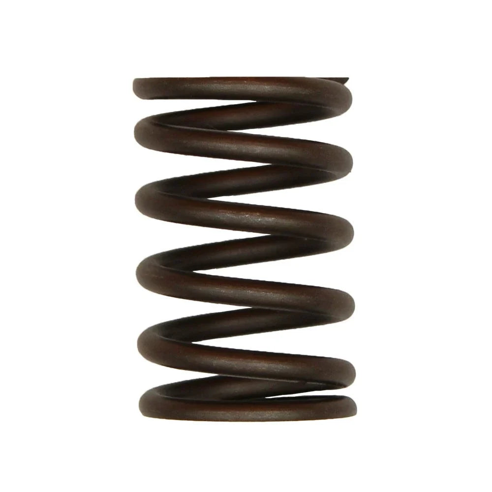 Valve Spring - Outer for Case IH (S.65711)