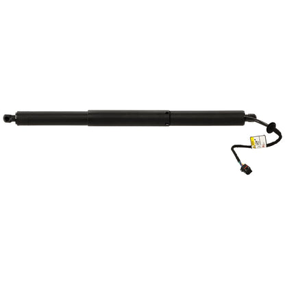 Set of 2 Liftgate Lift Supports for