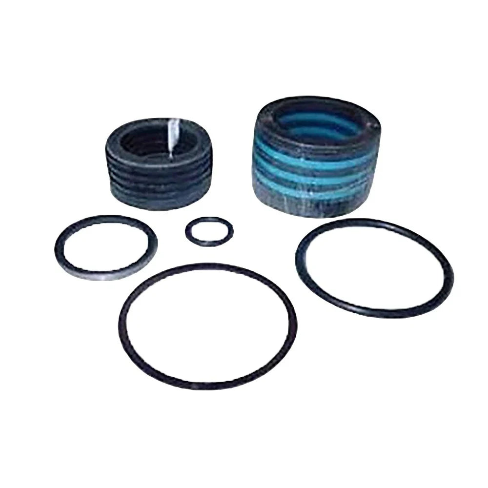 Hydraulic Cylinder Seal Kit for Ford (Fits 309957, 251164)