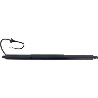 Liftgate Supports Pair for Toyota Hilux N70 2005-2015