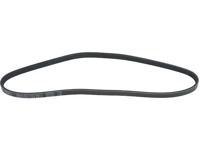 Multi Rib Belt for Mazda Protege (1999–2003) JN654DN