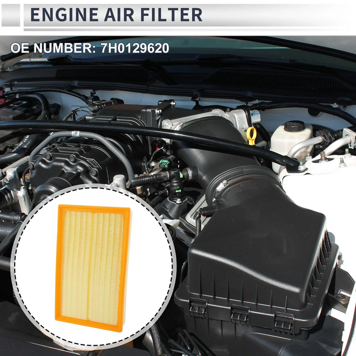 Car Engine Air Filter No. 7H0129620 for Volkswagen Transporter 