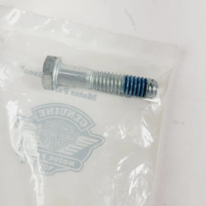 Bolt 8369 with Lock Patch for Harley-Davidson