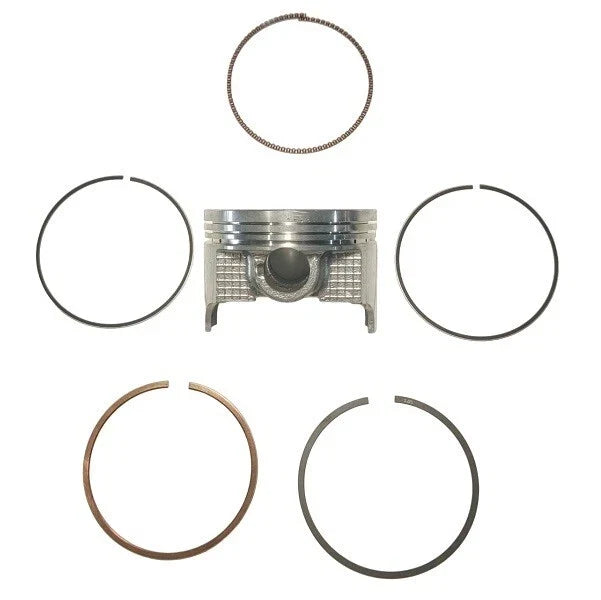 Piston Kit O/S 0 for Evinrude/Johnson DF40-DF50 Suzuki