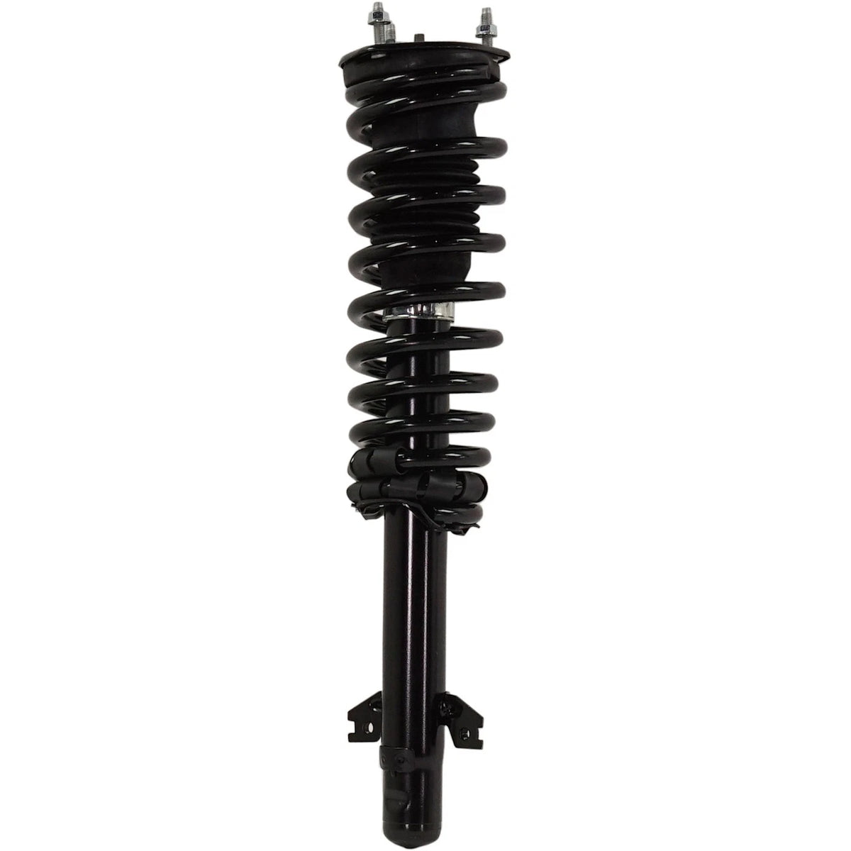 Set of 2 Loaded Struts