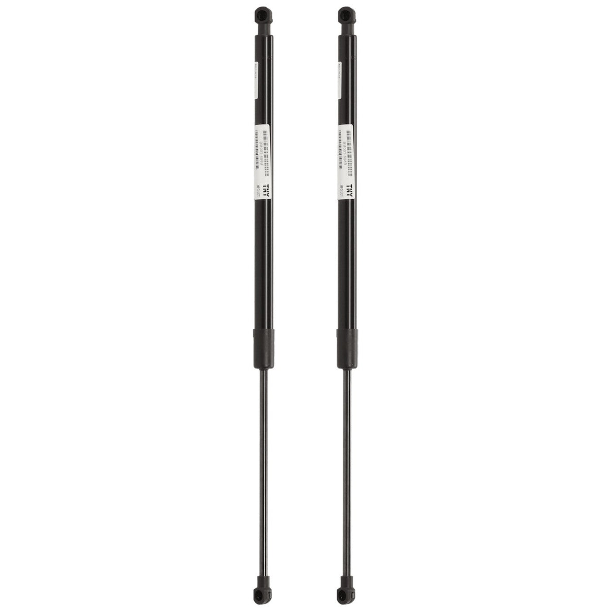 Liftgate Lift Supports Set of 2 for BMW 325, 323, 325i