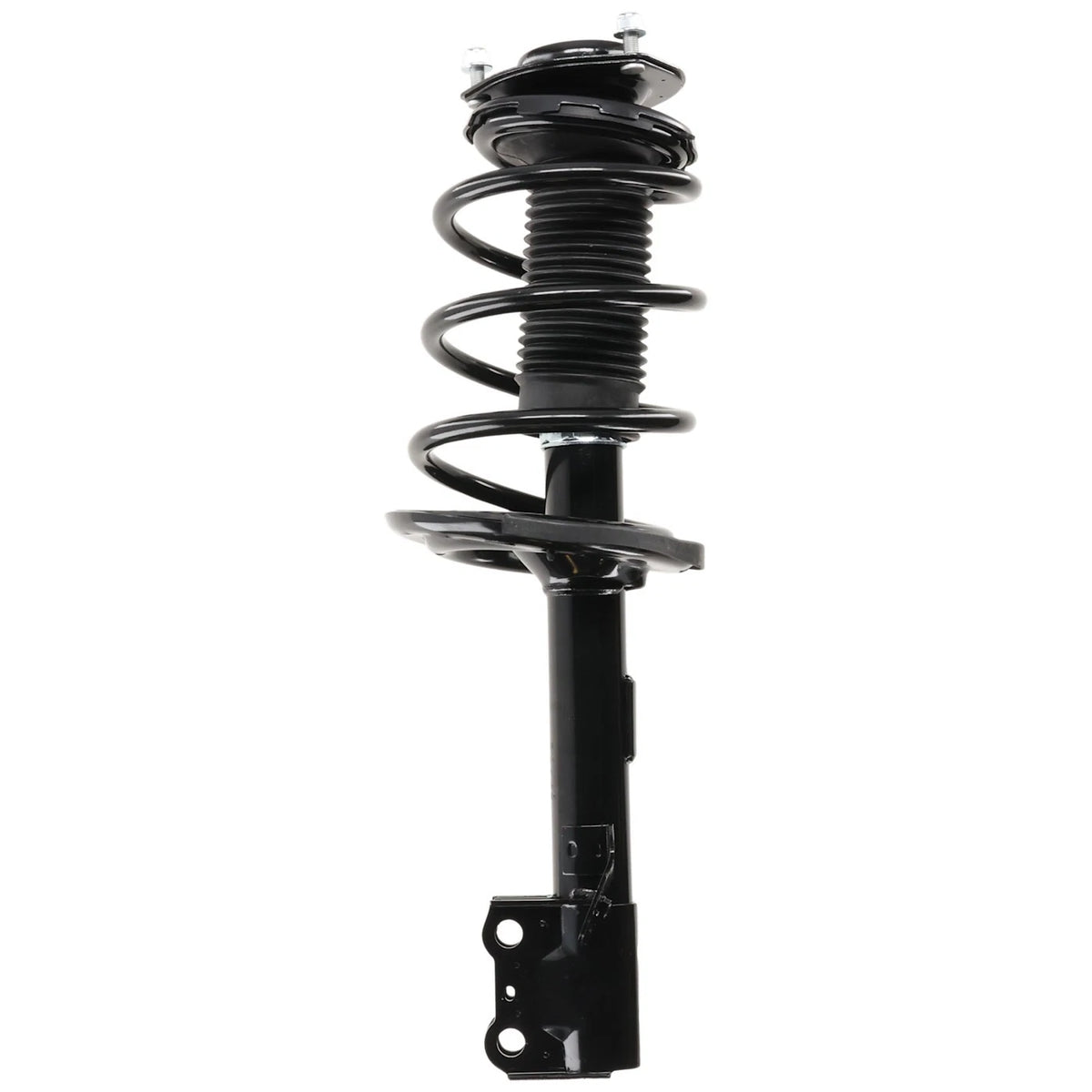 Strut Set of 2