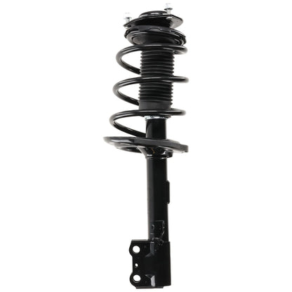 Strut Set of 2