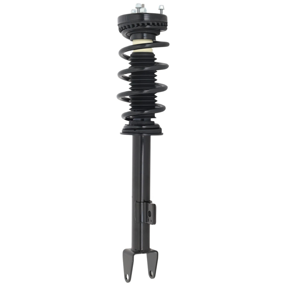Set of 2 Loaded Struts