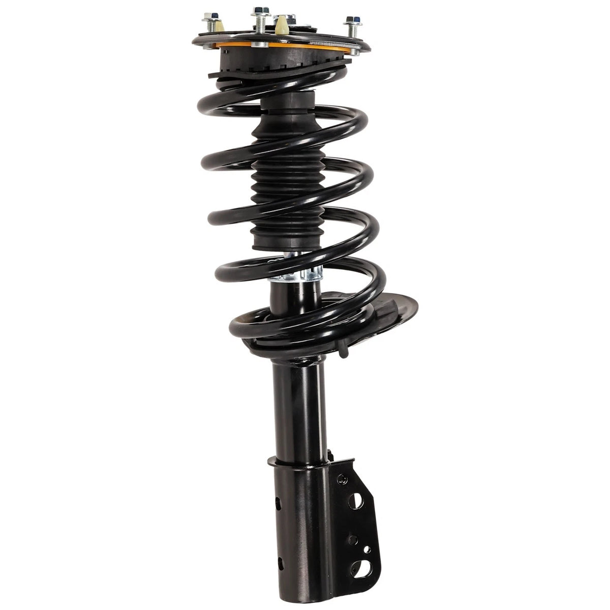 Strut Set of 2 for
