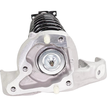 Strut Set of 2
