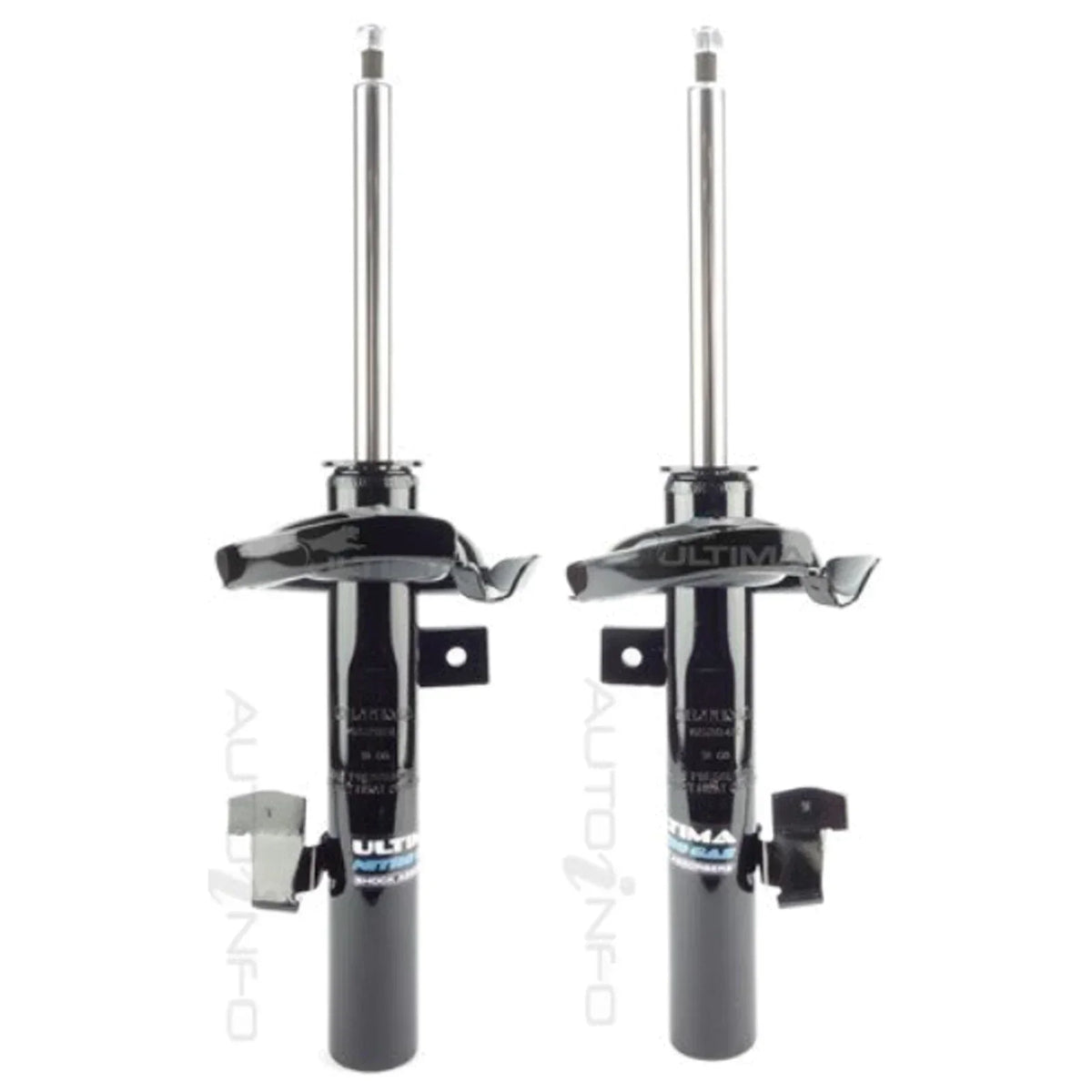 Shock Absorbers Front Strut for Ford Focus LV (2008 - 2012)