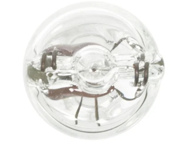 License Light Bulb for Suzuki Equator (2009–2012) CB678FG