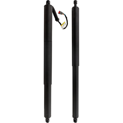 Set of 2 Liftgate Lift Supports for - Left Right Pair
