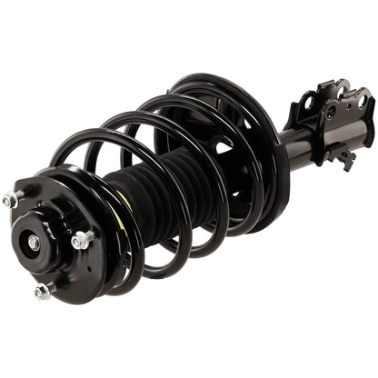 Set of 4 Loaded Struts