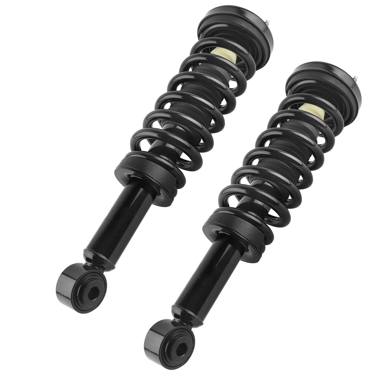 Front Coil Spring Strut Assembly for Ford F-150 (2009 to 2013)