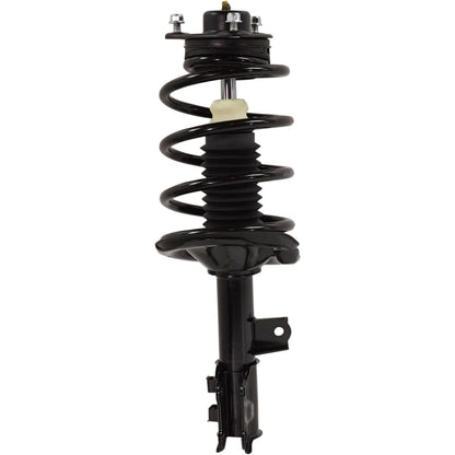 Strut Set of 2 for Sedan (Front Driver & Passenger Side)