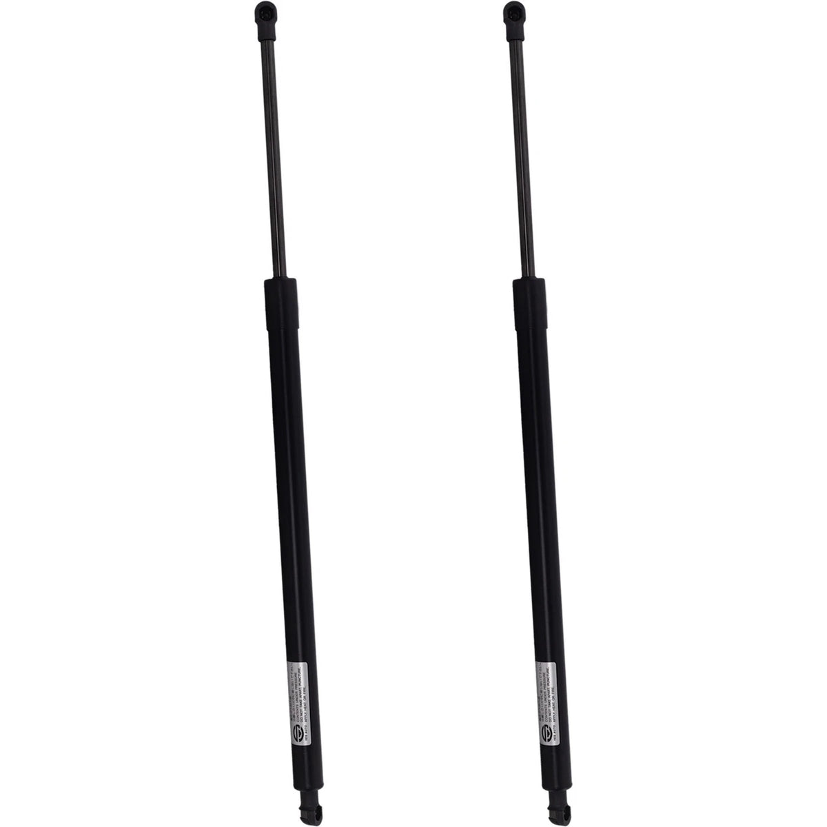 Liftgate Struts Set of 2 for Mazda CX-50 (2023–2023)