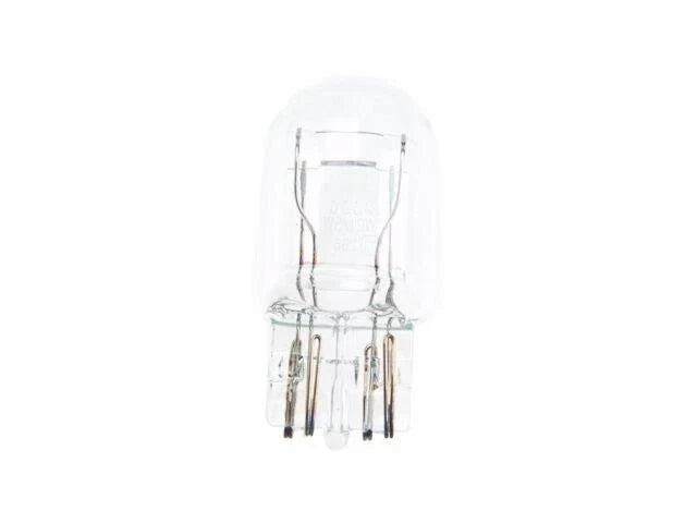 Tail Light Bulb for Mazda MPV (2000–2006) FV197FC