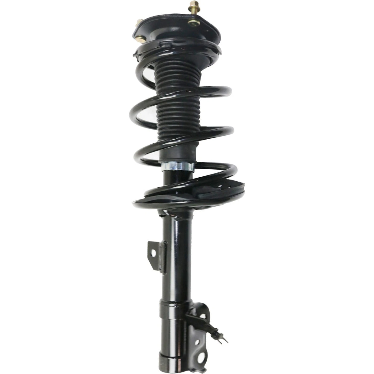 Set of 2 Struts