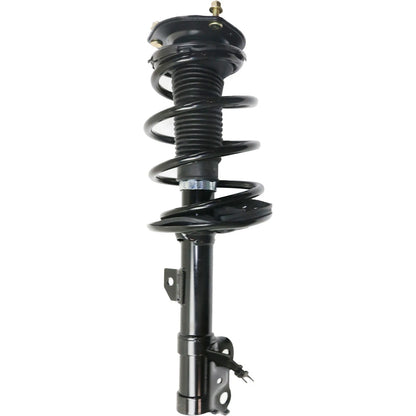 Set of 2 Struts