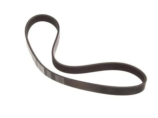 Multi Rib Belt for Mazda CX-5 (2013–2016) CG965BM