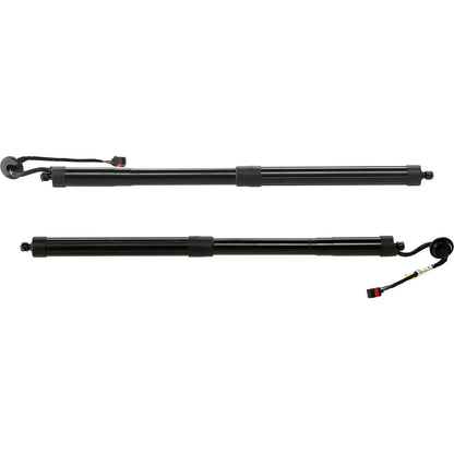 Set of 2 Liftgate Lift Supports for - Driver & Passenger Side