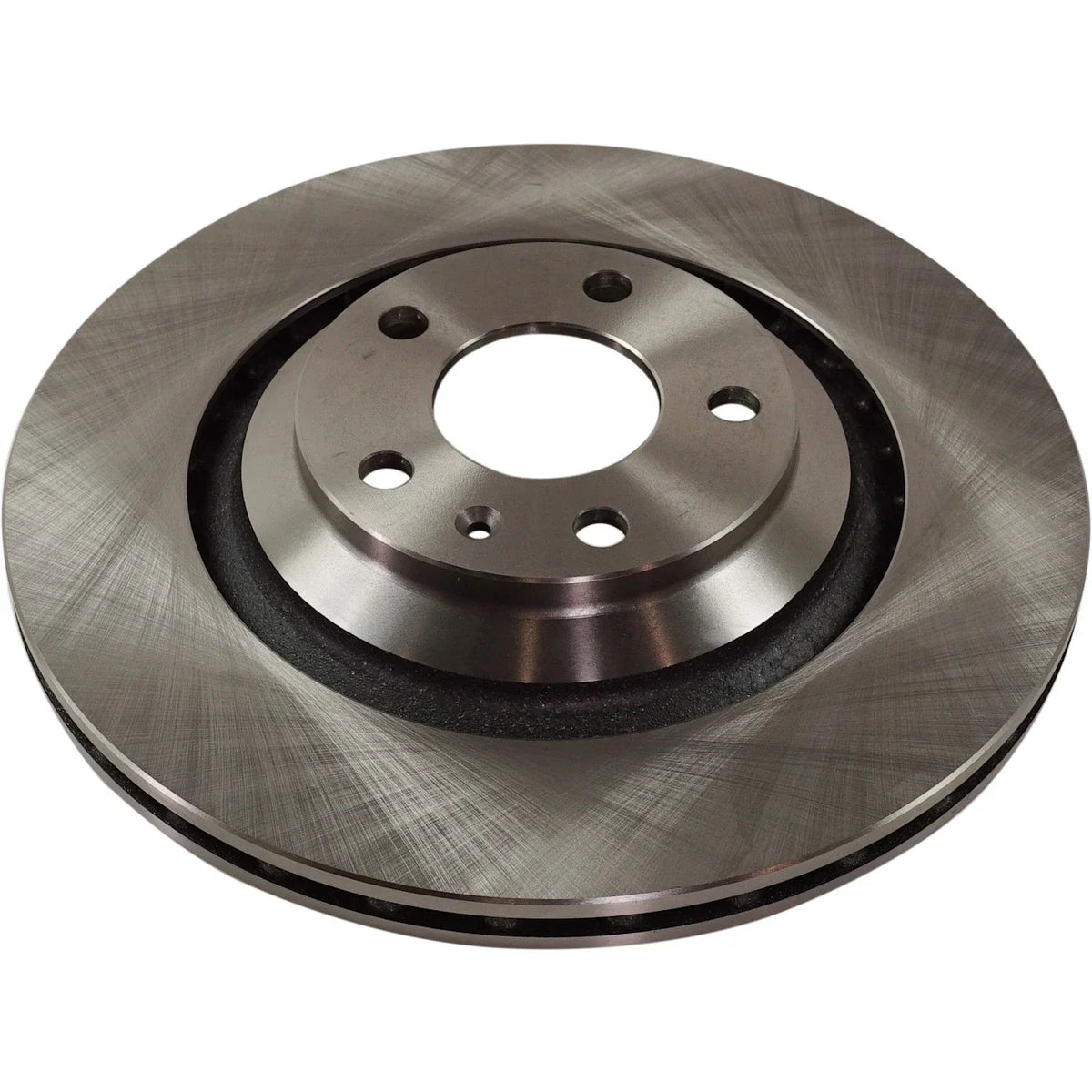 Disc Brake Rotors - Rear for Audi A6 Quattro (2005–2011)