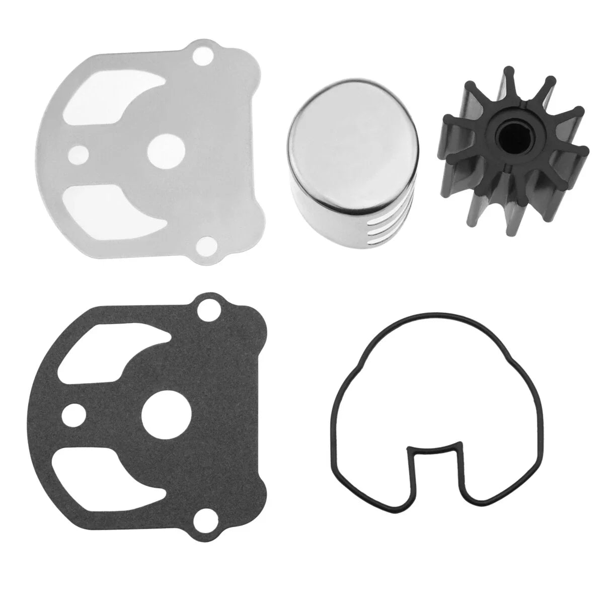 Water Pump Assembly Kit for OMC Cobra (984461)