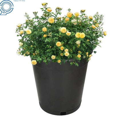 10 Pack 5 Gallon Black Injection Molded Nursery Pot Container