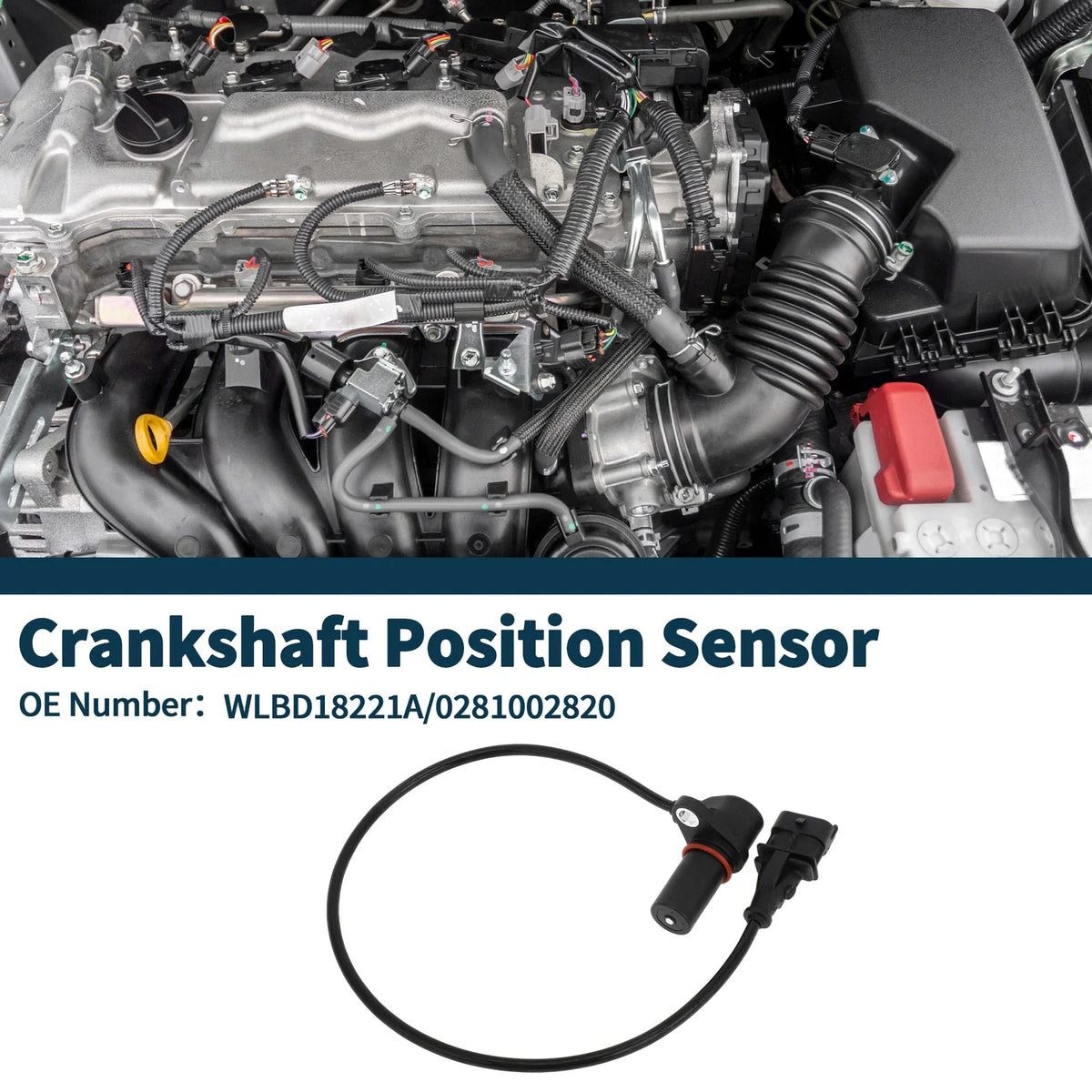 Crankshaft Position Sensor for Mazda BT-50 (2006–2013) No. 0281002820