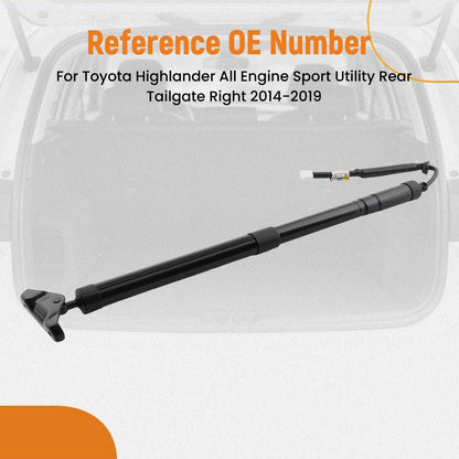 Lift Support Struts for Rear Tailgate on Toyota Highlander 2014-2019