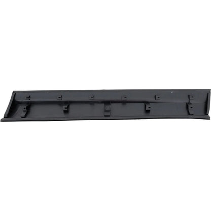 Door Moldings - Front Driver Left Side for Honda Passport Pilot