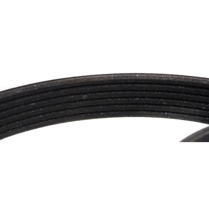 Drive Belt for Ranger (1997-2011)