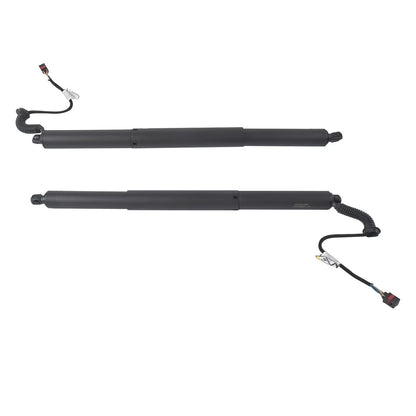 Tailgate Lift Support Set of 2 for Audi Q5 SQ5 2018-2021