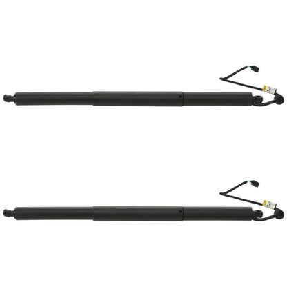 Set of 2 Liftgate Lift Supports for
