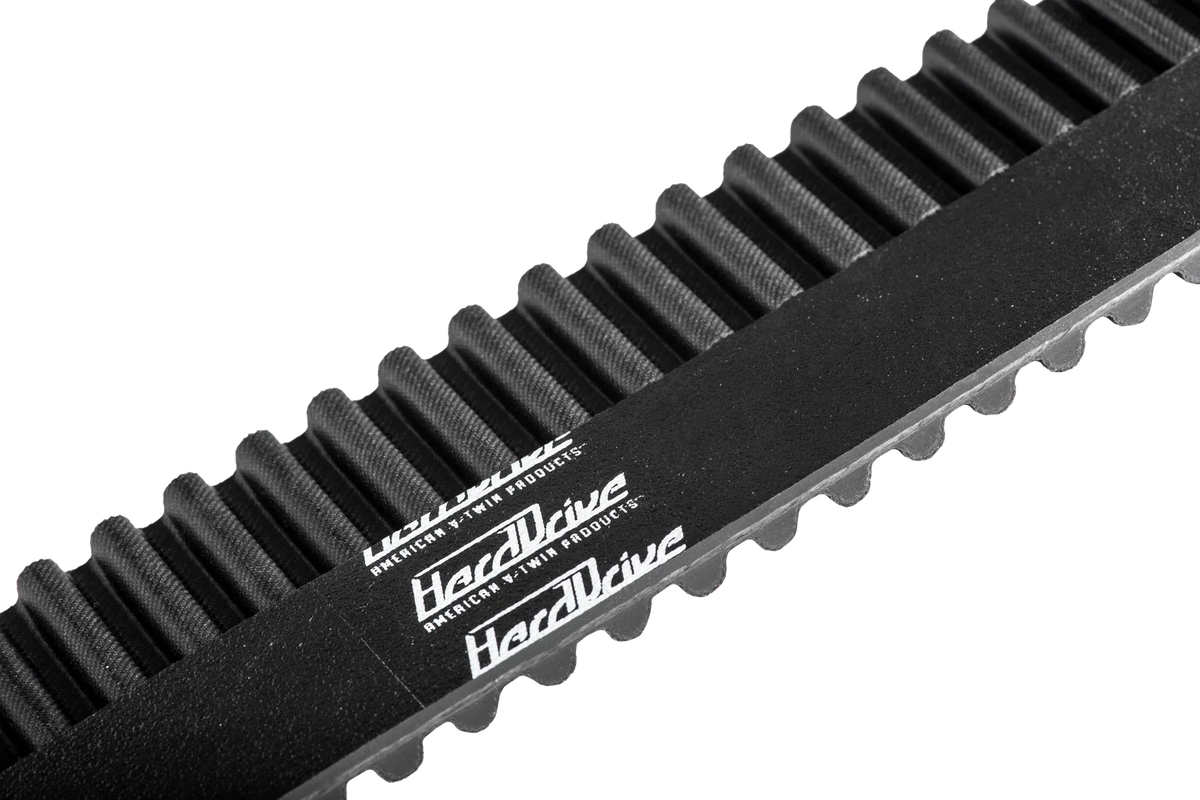 1 1/8" Rear Belt for Oe# 40570 04 (Specific )