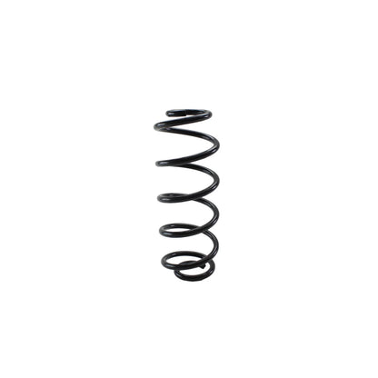 Lesjofors Rear Coil Spring for Audi A4 Quattro (4204268, 2001–2008)