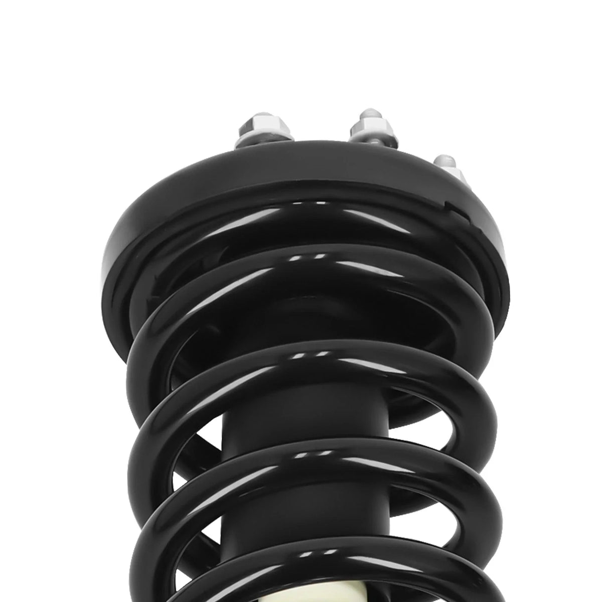 Front Struts w/Coil Spring Assembly for Honda Accord (08-12) - 2 Pack