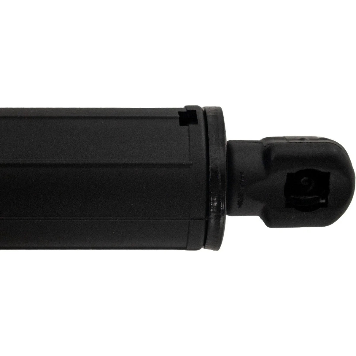 Hatch Lift Supports Set of 2 for Ford