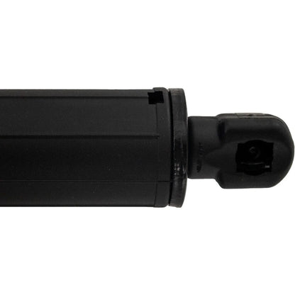 Hatch Lift Supports Set of 2 for Ford