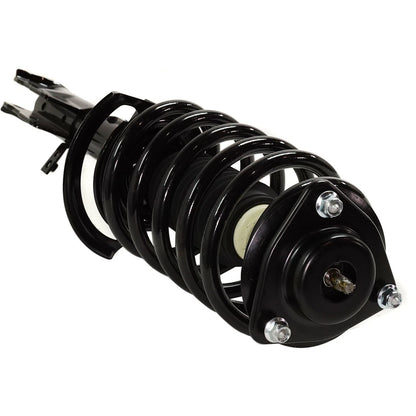 Strut Set of 2