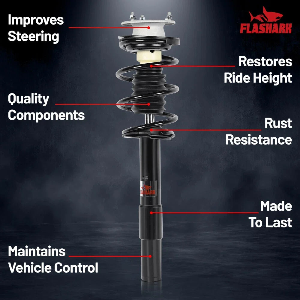 Front Pair of Complete Struts for BMW 530i 2004-2007, 535 2008-2010