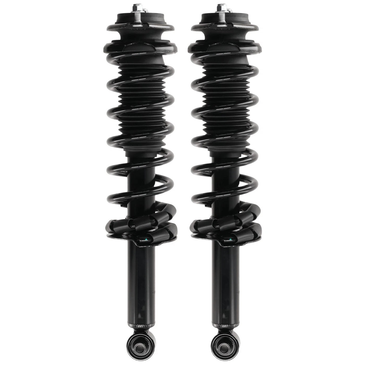 Set of 2 Loaded Struts