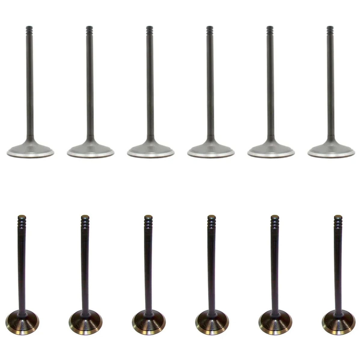 Set of 12 Intake & Exhaust Valves for Ford Cougar Mustang Thunderbird V6 (N/A)