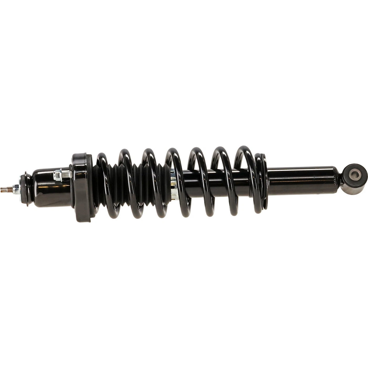 Strut Assembly for - Rear Left/Right Side