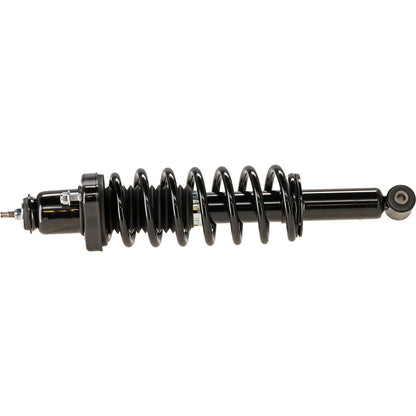 Strut Assembly for - Rear Left/Right Side