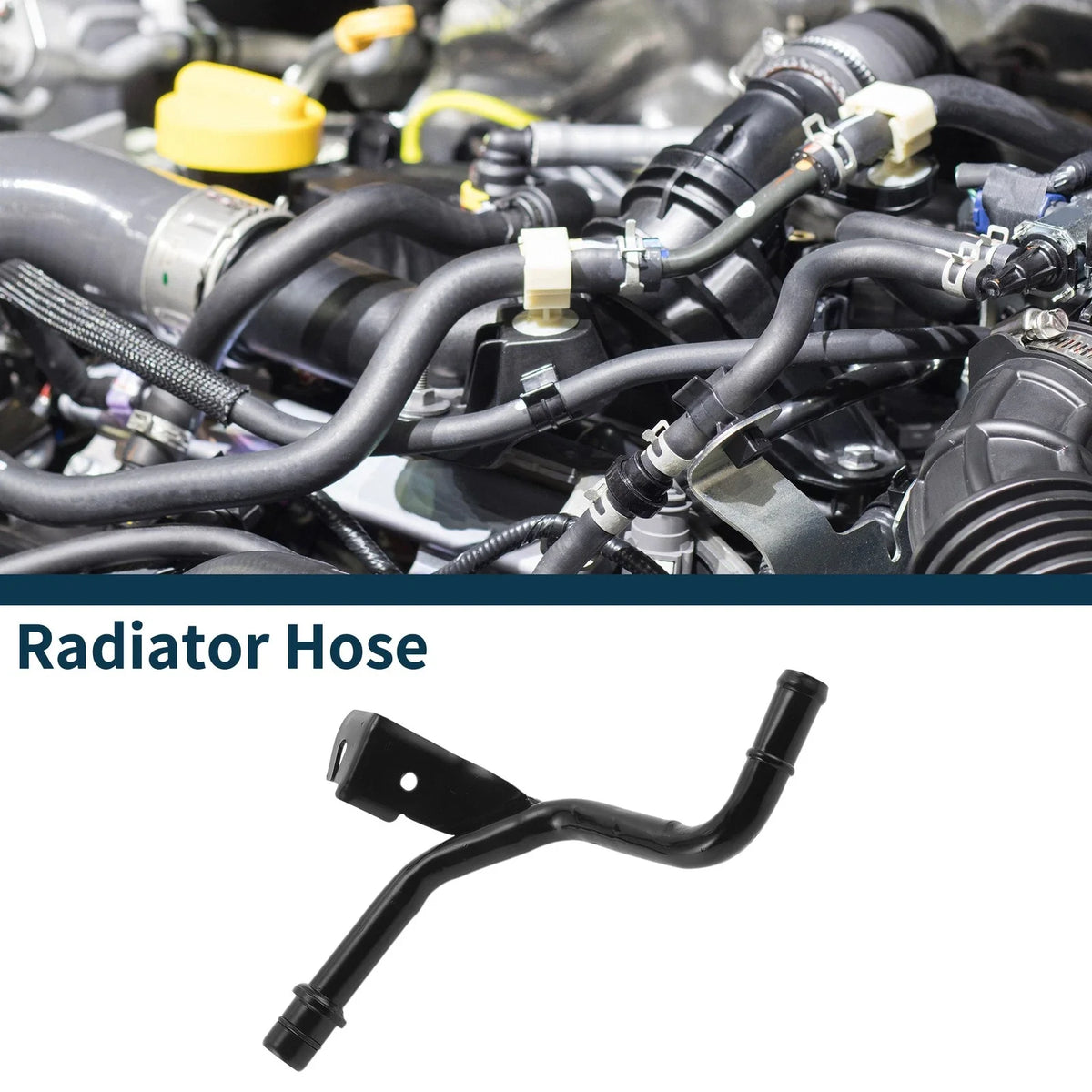 Radiator Hose for Buick Century (2000–2005) OE 12568743