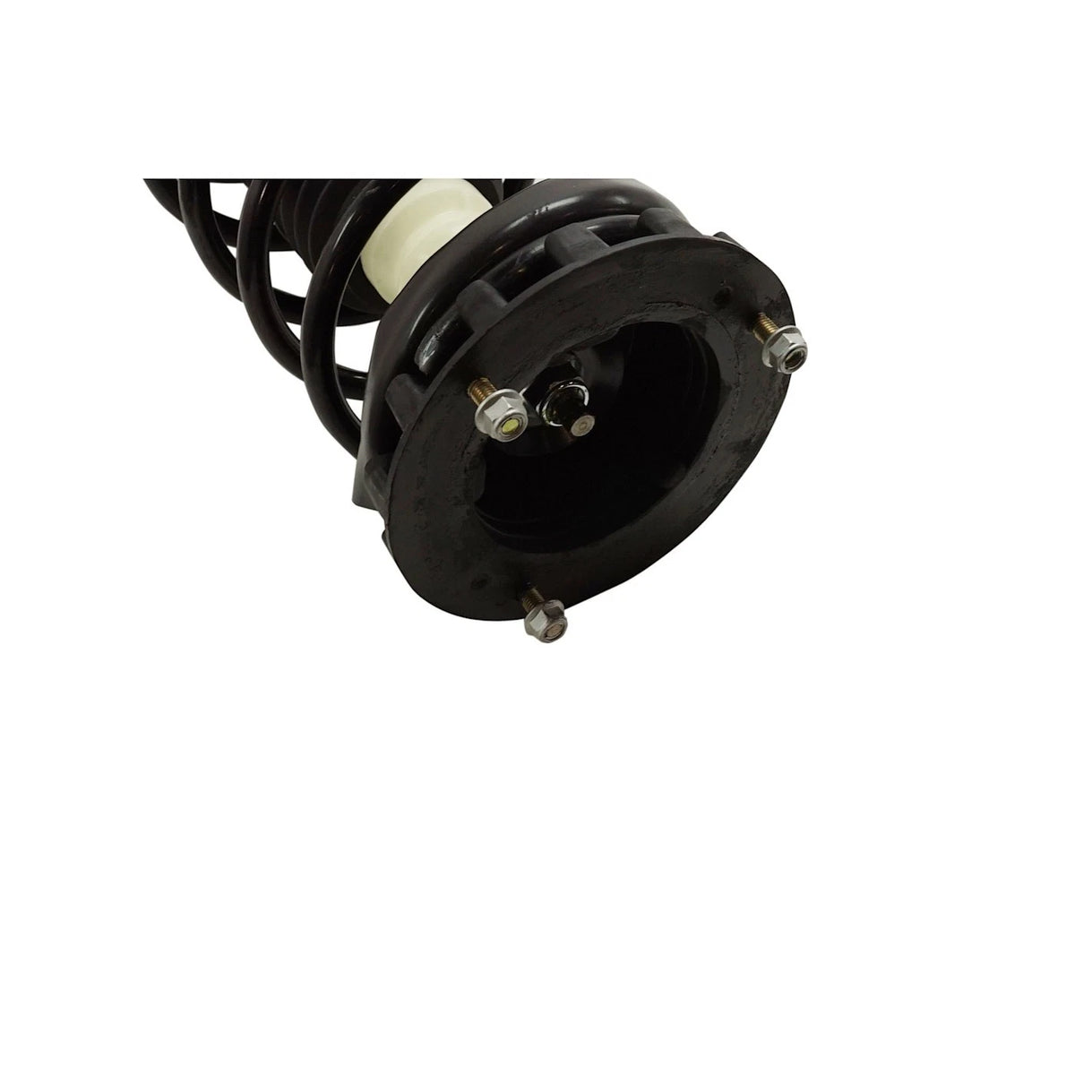 Strut Set of 2 for Sedan (Rear Driver & Passenger Side)